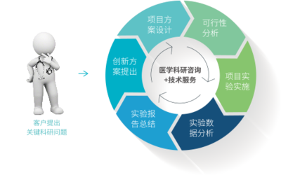 科研咨詢與技術服務 構建創新生態的關鍵雙翼